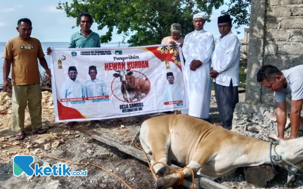 Thumbnail Idul Adha 2025: Pengurus Masjid dan Pemdes Sambiki Halsel Sembelih 9 Hewan Kurban