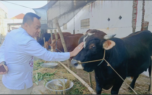 Thumbnail Berbagi Tanpa Batas, Ketua Komisi A DPRD Surabaya Cak Yebe Kurban 15 Sapi Premium dan 10 Kambing