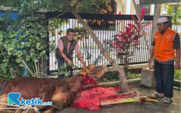 Thumbnail Berita - PKS Trenggalek Salurkan 20 Sapi dan 150 Kambing untuk Kurban Iduladha 1446 H