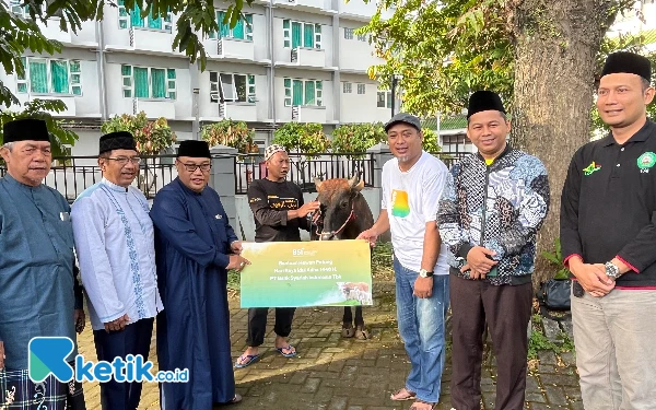 Thumbnail Momen Iduladha 2025, Unisma Distribusikan 51 Hewan Kurban ke Wilayah Malang Raya