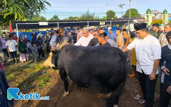 Thumbnail Berita - Sapi Kurban Bantuan Presiden Prabowo Disembelih di Masjid Baiturrahmah Kota Sinabang Simeulue Aceh