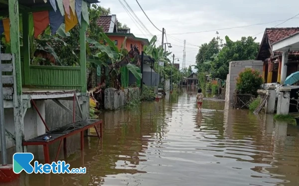 Thumbnail Berita - Hujan Deras, Banjir Berulang di Jombang, Minim Mitigasi Tanpa Solusi