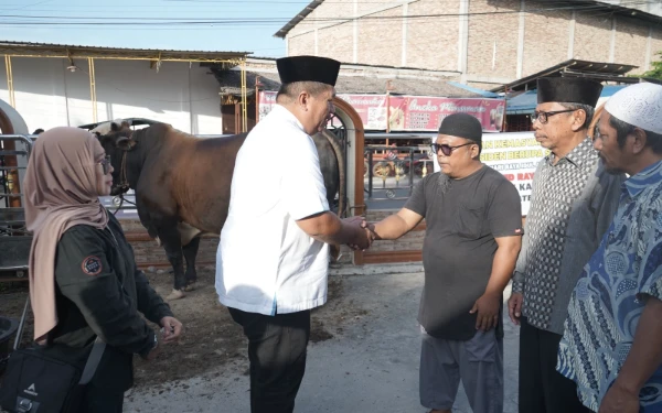 Thumbnail Berita - Bupati Asahan Serahkan Hewan Kurban Presiden Prabowo ke Masjid Raya