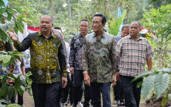 Thumbnail Berita - Panen Perdana Kopi Lereng Merapi di Sleman, Kementan RI Dukung Penuh