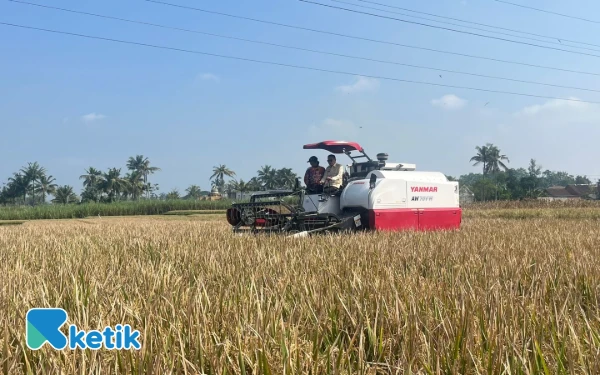 Thumbnail Combine Harvester Bantuan Presiden Prabowo Mulai Digunakan di Kota Malang, Pemkot Pastikan Buruh Tani Tak Terdampak