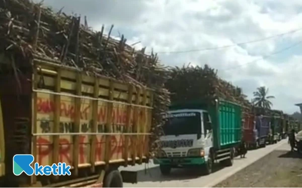 Thumbnail Berita - Kemacetan Tahunan Akibat Truk Tebu RMI Blitar Kembali Lumpuhkan Rejoso, Warga Minta Solusi Nyata