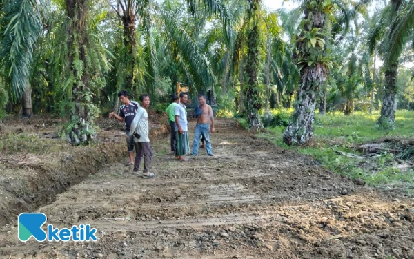 Thumbnail Berita - Maksimalkan Swasembada Pangan, Pemdes Lhok Gayo Abdya Bangun Jalan di Lahan Perkebunan