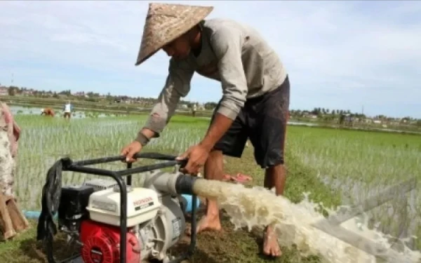 Thumbnail Sawah Kering Akibat Kemarau, Kelompok Tani di Abdya Dapat Bantuan Pompa Air