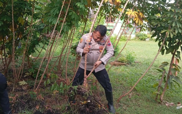 Thumbnail Berita - Panen Raya Ketela Pohon di Polsek Sragi Pekalongan, Wujud Nyata Dukung Ketahanan Pangan