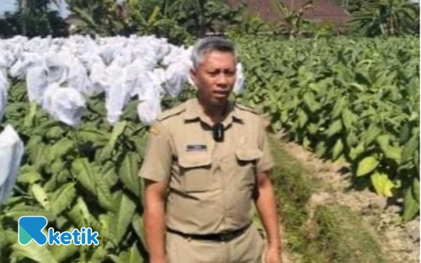 Thumbnail Berita - Optimalkan DBHCHT, DKPP Kabupaten Blitar Genjot Infrastruktur Pertanian Tembakau