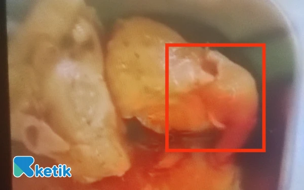 Thumbnail Waduh! Makan Bergizi Gratis Perdana di Tambakboyo Tuban Ada Belatung Hingga Intimidasi Jurnalis