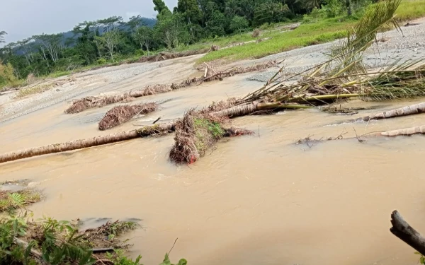 Thumbnail Sungai Tabuji di Pulau Obi Keruh Warga Mengeluh, PT Artha Rimba di Duga Pelaku