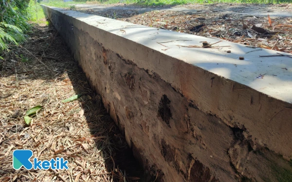 Thumbnail Berita - Proyek TPT di Tanjunggunung Jombang Diduga Tanpa Pondasi, Konstruksi Dikhawatirkan Rawan Gagal