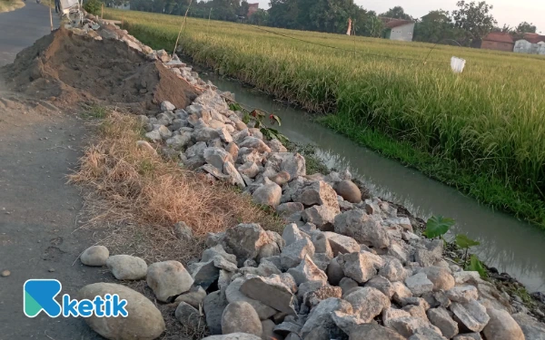 Thumbnail Berita - Proyek Rekonstruksi Jalan di Paduraksa Pemalang Disorot! Diduga Gunakan Batu Bekas?