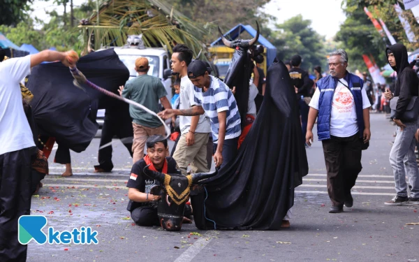 Thumbnail ‎Bantengan Nuswantara Kota Batu Diikuti Ratusan Kontingen, Termasuk dari Luar Negeri   ‎