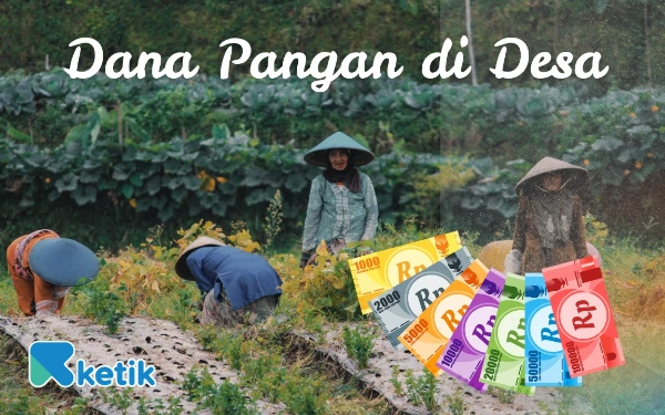 Thumbnail Dana Pangan Desa Pasca COVID-19: Jalan Panjang Menuju Kedaulatan Pangan Halmahera Selatan