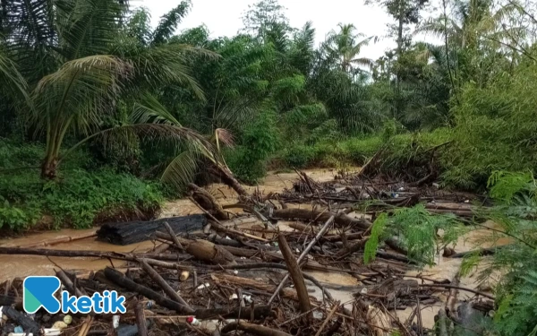 Thumbnail Berita - Sungai Tersumbat di Ie Mameh Ancam Kebun Warga, DPRK Abdya Minta Pemkab Bertindak Cepat