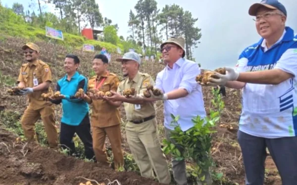 Thumbnail Berita - Desa Clekatakan Didorong Jadi Sentra Kentang Nasional, Bupati Pemalang Optimis Kalahkan Dieng
