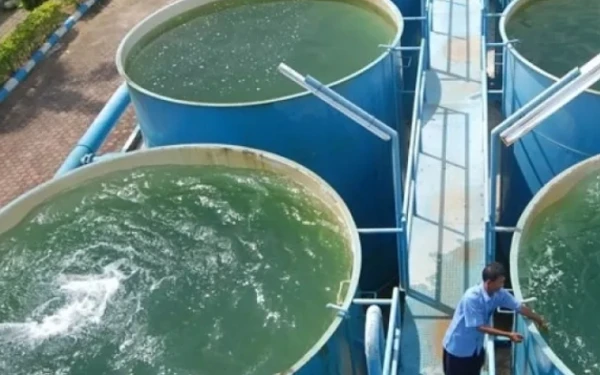 Thumbnail Berita - PDAM Tirta Naga Suka “Nyusu” ke APBK, Pemuda Aceh Selatan Tantang Direktur Akhiri Tradisi Merugi