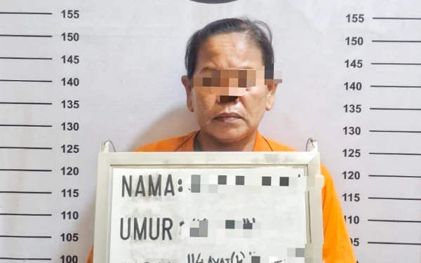 Thumbnail Berita - Ibu Tunggal 2 Anak di Labuhanbatu Edarkan Sabu, Sepaket Untungnya Rp 10 Ribu