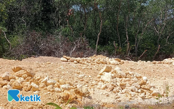 Thumbnail Reklamasi Ancam Ekosistem di Pesisir Camplong Sampang