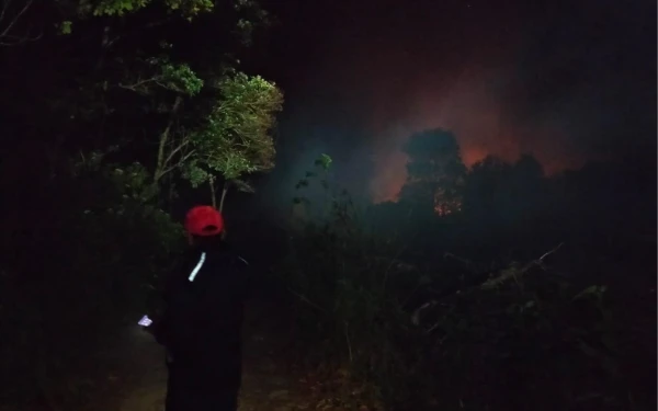 Thumbnail Sejumlah Daerah di Indonesia Dilanda Banjir dan Angin Kencang, BNPB Ingatkan Kewaspadaan