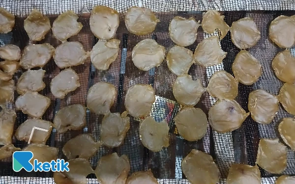 Thumbnail Berita - Ingin Camilan Pendamping Makan? Seperti Ini Renyahnya Cimel Kerupuk Puli Sidoarjo