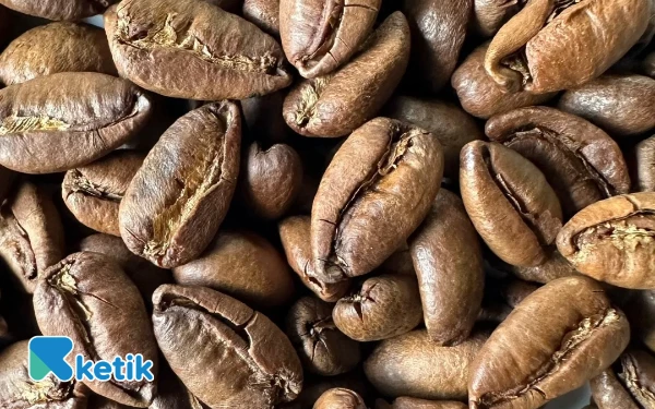 Thumbnail Kopi Liberika Bacan, Identitas Rasa Halmahera Selatan di AOE 2025