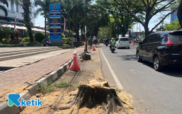 Thumbnail DLH Kota Malang Pastikan Ada Penghijauan Kembali Setelah Penebangan Pohon di Jalan Soekarno-Hatta