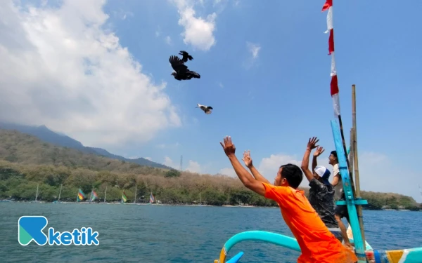 Thumbnail Berita - Pengunjung Wisata Bahari Pasir Putih Situbondo Terhipnotis dengan Balapan Ayam Sap-Sap