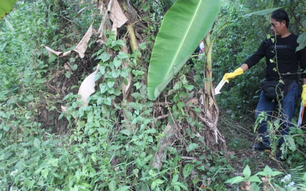 Thumbnail Berita - Ngeri! Ada Kerangka Manusia Ditemukan di Kebun Belakang Kantor Bekas DPU Pekalongan