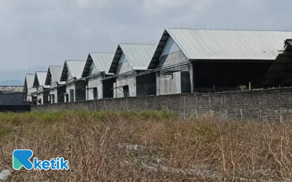 Thumbnail Berita - Peternakan CV Bintang Timur Diduga Beroperasi Tanpa Izin Resmi, Warga Pertanyakan Penegakan Hukum