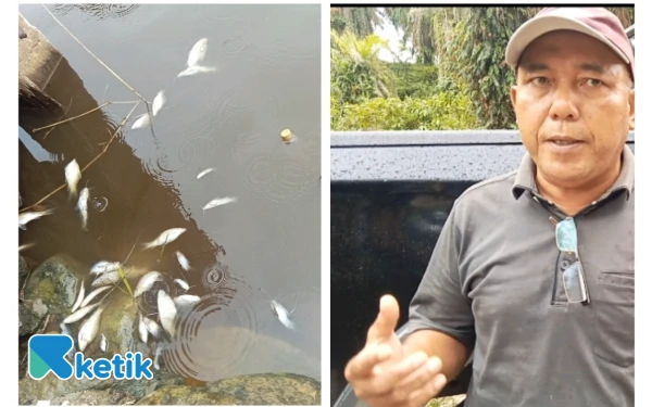Thumbnail Berita - Ribuan Ikan Mati Terapung, Penyebabnya Diduga Kebocoran Limbah PT. Nafasindo