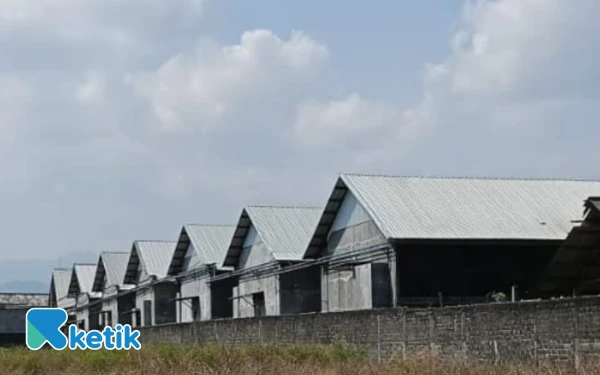 Thumbnail Berita - DPRD Blitar Siap Inspeksi Peternakan Ayam Ilegal di Gandusari, Pemda Didesak Lakukan Penutupan