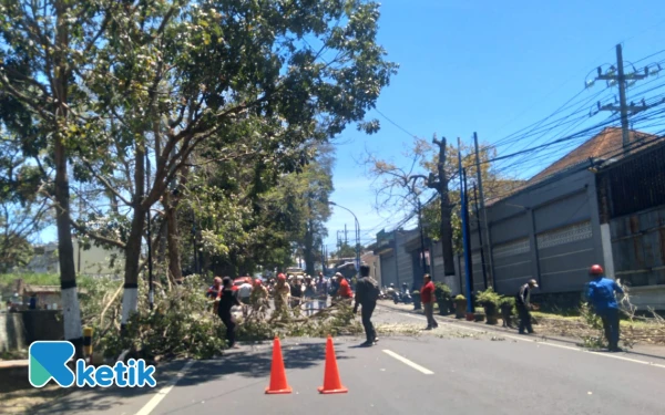 Thumbnail ‎Kota Batu Waspada Bencana Hidrometeorologi Sepekan ke Depan