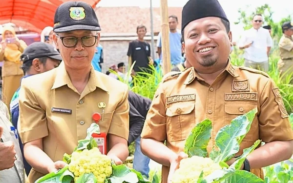 Thumbnail Wakil Bupati Bondowoso Panen Perdana Hasil Inovasi Hortikultura Brokoli Varietas Kaila