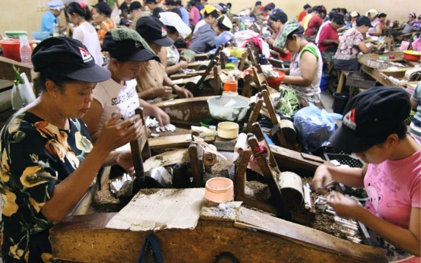 Thumbnail Dinas Penanaman Modal dan Ketenagakerjaan Bondowoso Gunakan Anggaran DBHCHT untuk Tingkatkan SDM Pertembakauan