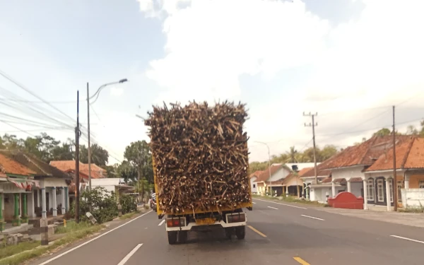 Thumbnail Berita - Dukung Misi Presiden Prabowo, APTRI Lumajang Ingin Ada Pabrik Gula Baru