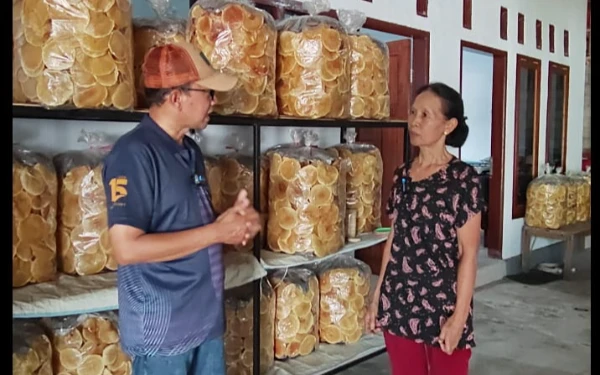 Thumbnail Berita - Universitas Ciputra Dampingi KUB PRB di Jember Kembangkan Produk Keripik Lokal