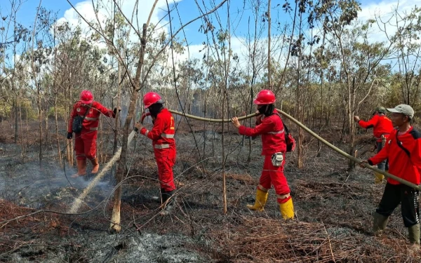 Thumbnail Tiga Hari Manggala Agni Berupaya Padamkan Kebakaran Hutan di Muara Enim
