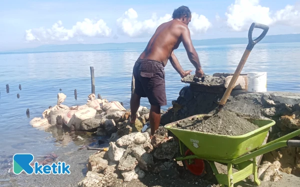 Thumbnail La Alami Membentengi Pesisir Obi Dengan Loyalitas, Melawan Abrasi Seorang Diri