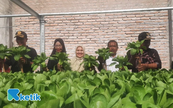 Thumbnail Berita - Dana Desa Rp15 Juta Berbuah Manis, Rumah Panjang Sukses Panen Hidroponik Perdana