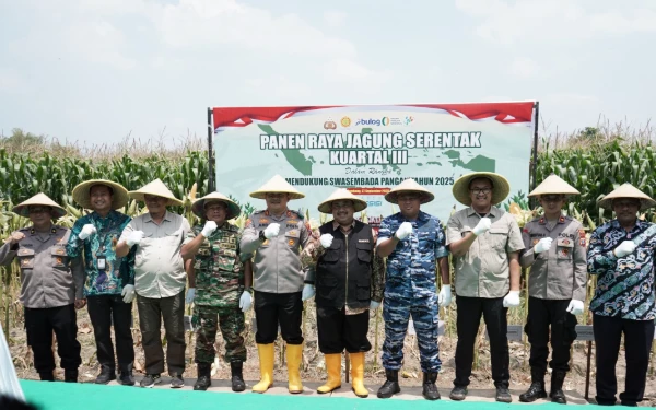 Thumbnail Berita - Jombang Panen Raya Jagung Serentak Kuartal III, Produktivitas Lahan Pertanian Terus Dioptimalkan