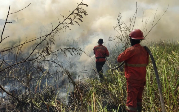 Thumbnail Kabut Asap Kepung Palembang, Pagi Hari Kualitas Udara Tidak Sehat