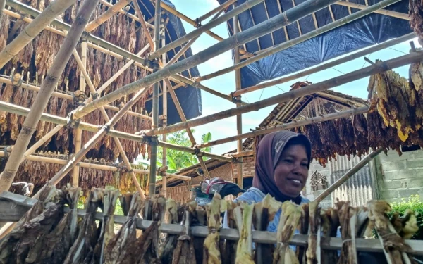 Thumbnail Berita - Pemkab Lumajang Jadikan Buruh Tembakau sebagai Sasaran Pemanfaatan DBHCHT