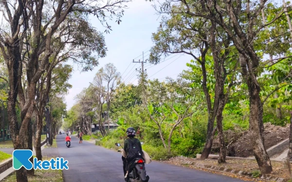 Thumbnail Festival Tabebuya 2025 Kota Batu Siap Tarik Ribuan Wisatawan