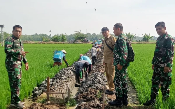 Thumbnail Berita - Dandim Pemalang Tinjau Pembangunan Irigasi Tersier di Tiga Desa
