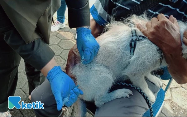 Thumbnail Berita - Jaga Cilacap Zero Rabies, Pemkab Vaksinasi Gratis Hewan Peliharaan