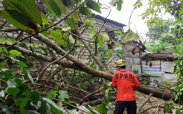 Thumbnail Tragedi Awal Oktober! BNPB Laporkan Sejumlah Bencana  di Sejumlah Daerah