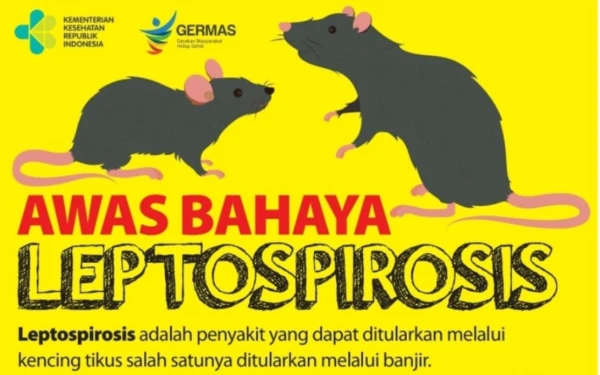 Thumbnail Berita - Dinkes Sleman Peringatkan Bahaya Leptospirosis, 74 Kasus Positif dan 5 Meninggal Akibat Keterlambatan Berobat